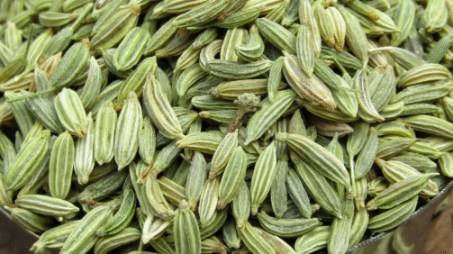 Cumin Seeds (3)