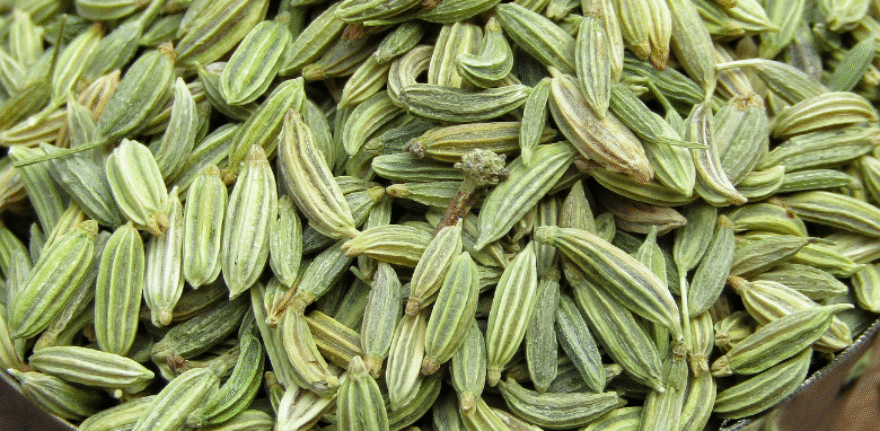 Cumin Seeds (3)