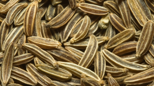 Cumin Seeds