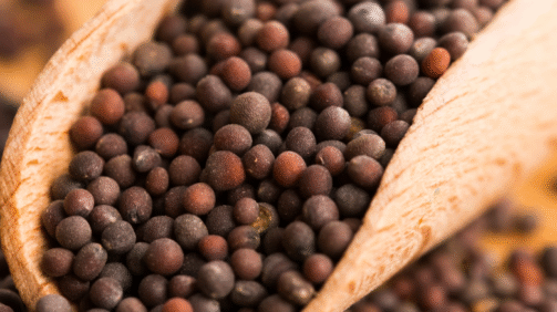 Cumin Seeds (8)