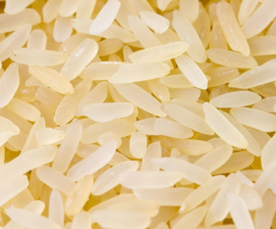 Untitled design (61)