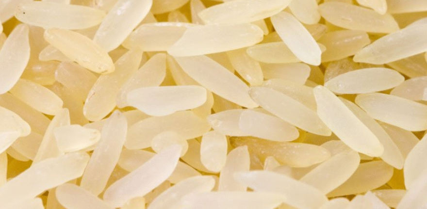 Untitled design (61)