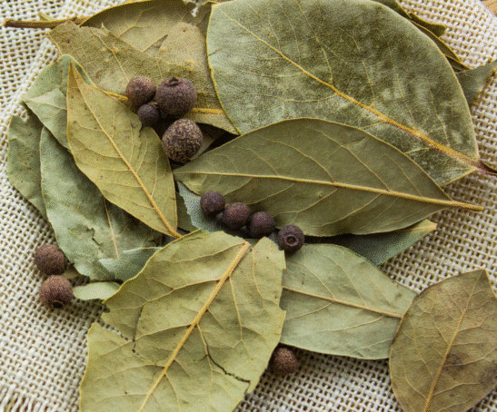 Untitled design (62)