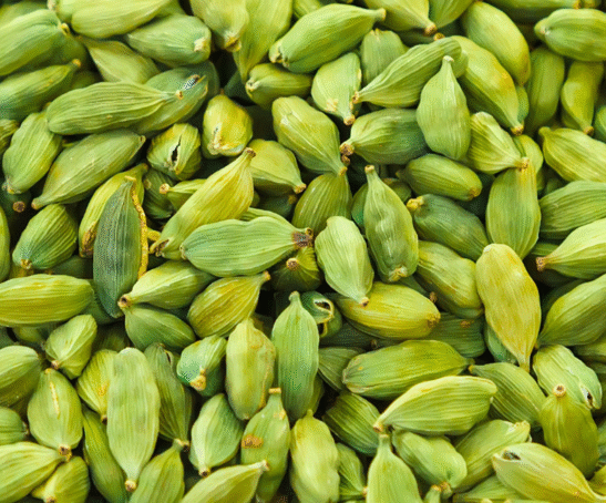 Untitled design (64)