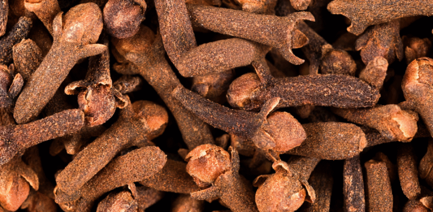 Untitled design (67)