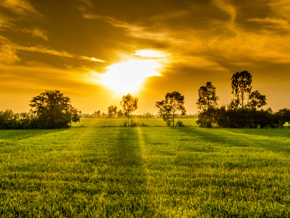 Untitled design (70)